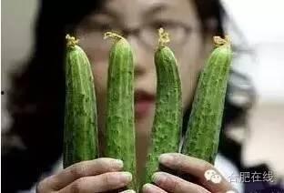 黄花吃瓜小组,揭秘网络热点的幕后故事