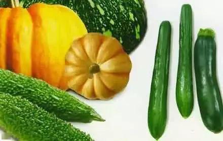 冷宫吃瓜,宫廷内幕下的吃瓜盛宴