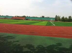 吃瓜操场视频下载,下载背后的真相与争议