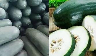 吃瓜不氧化,揭秘“吃瓜不氧化”的神奇现象