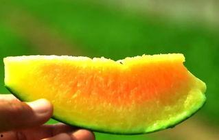 小陵吃瓜,揭秘娱乐圈那些不为人知的幕后故事