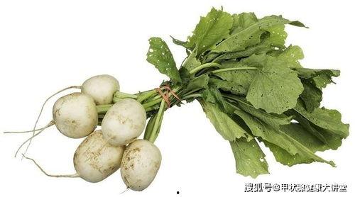 甲亢可以吃蒲瓜吗,蒲瓜的养生益处