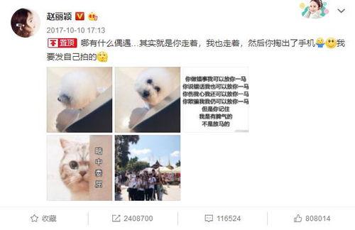 吃瓜置顶,揭秘娱乐圈最新热点事件