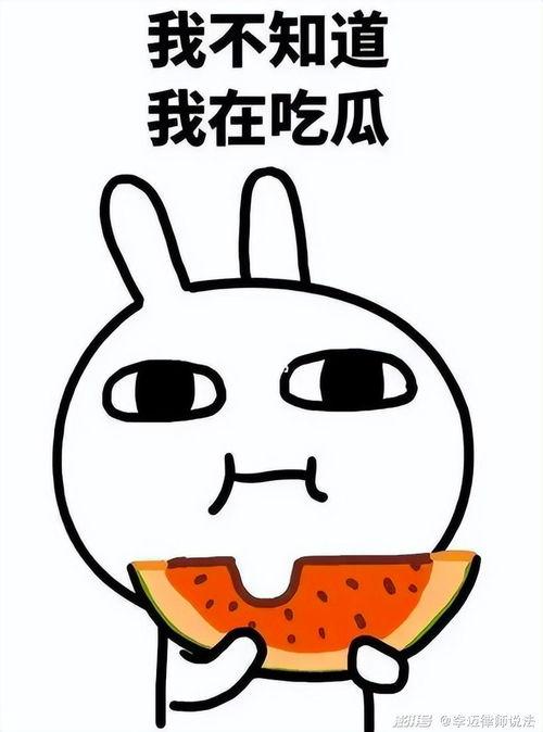 吃瓜神人,网络红人的崛起与影响力