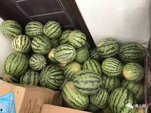 ucsd改造吃瓜视频