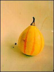 新沂健身房吃瓜,一场吃瓜群众的狂欢盛宴